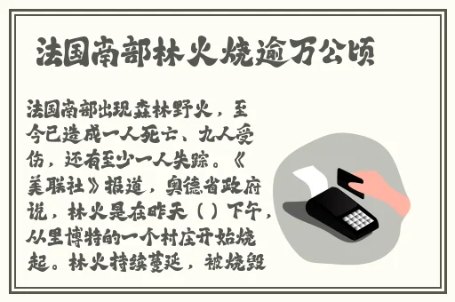约会软件app前十名